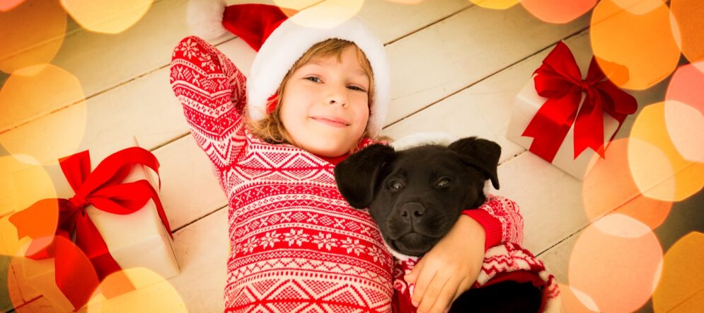 Geschenkidee Tier Hund Katze